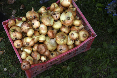 Similar image 22254132