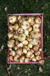 Similar image 22254133