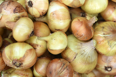 Similar image 22254134