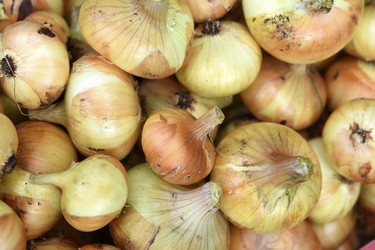 Similar image 22254135