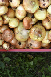 Similar image 22254136