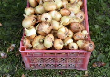 Similar image 22254137