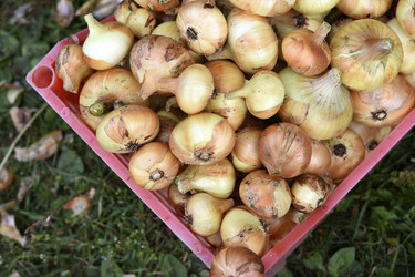 Similar image 22254139