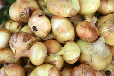 Similar image 22254140