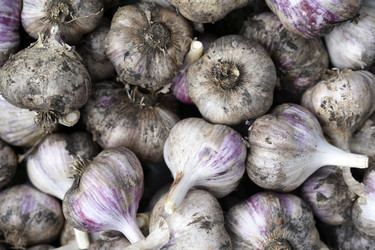 Similar image 22254141