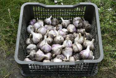 Similar image 22254143