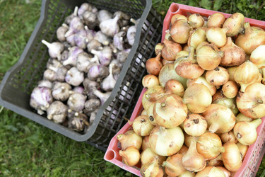 Similar image 22254144