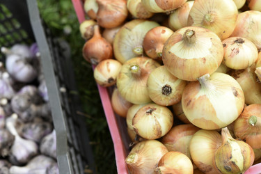 Similar image 22254145