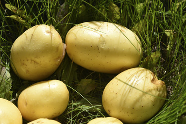 Similar image 22255052