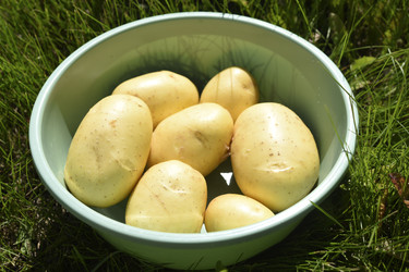 Similar image 22255053