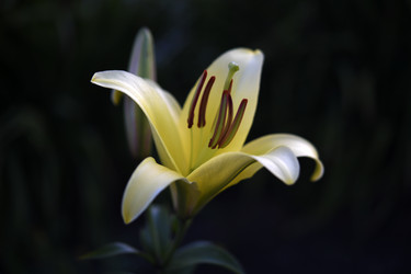 Similar image 22255054