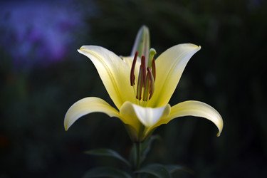 Similar image 22255055