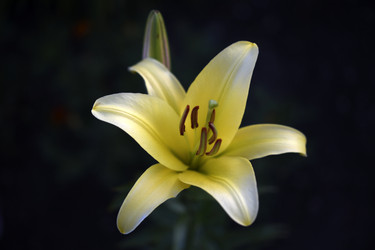 Similar image 22256066