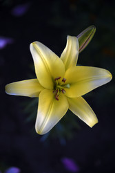 Similar image 22256067