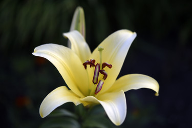 Similar image 22256068