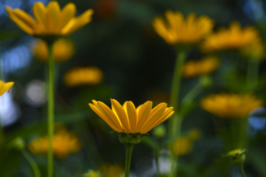 Similar image 22261670