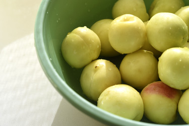 Similar image 22261676