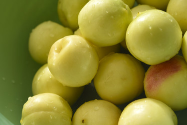 Similar image 22261677