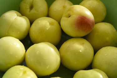 Similar image 22261681