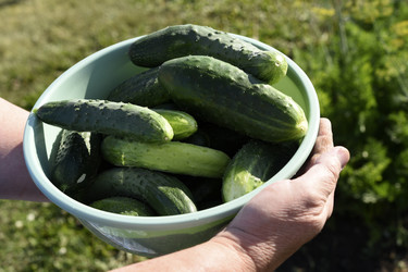 Similar image 22261704