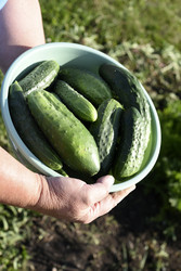 Similar image 22261705