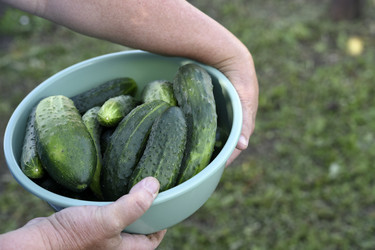 Similar image 22261706