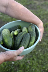 Similar image 22261707