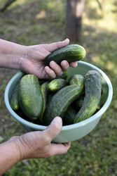 Similar image 22261710