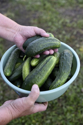 Similar image 22261711