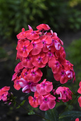 Similar image 22254147