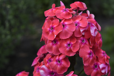 Similar image 22254148