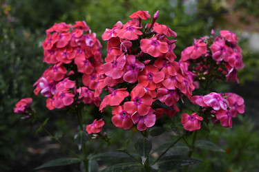 Similar image 22254149