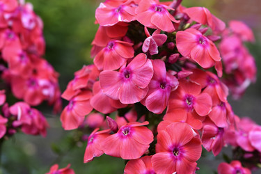 Similar image 22254150