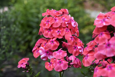 Similar image 22254151