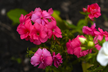 Similar image 22254152