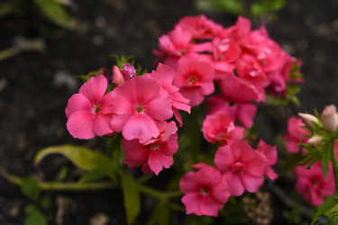 Similar image 22254153