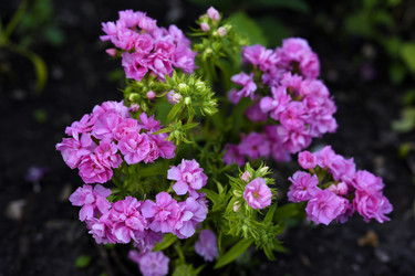 Similar image 22254154