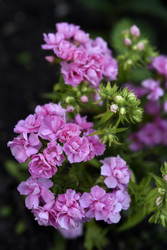 Similar image 22254155