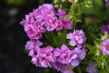 Similar image 22254156