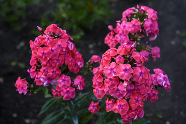 Similar image 22254157