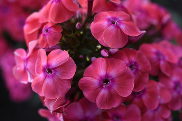 Similar image 22254158