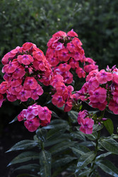 Similar image 22254161