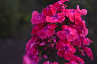 Similar image 22254163