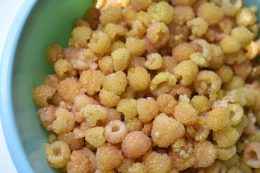 Similar image 22254171