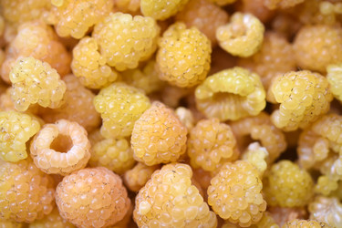 Similar image 22254172