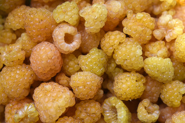 Similar image 22254173