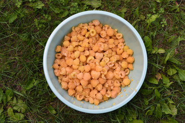 Similar image 22254175