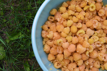 Similar image 22254176