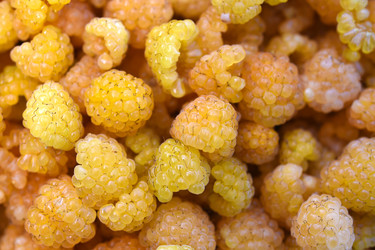 Similar image 22254179