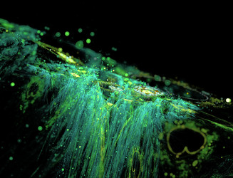 Similar image 22250697